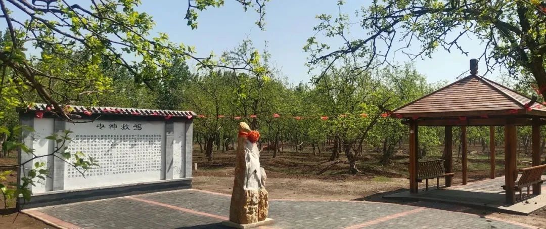 休闲农业与乡村旅游项目分析,休闲农业与乡村旅游什么时候开始