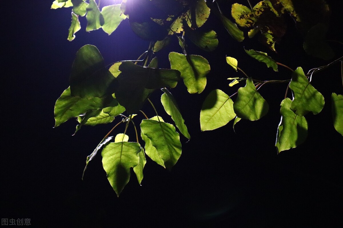 我是一个怎么样的人,我是一个怎么样的人呢