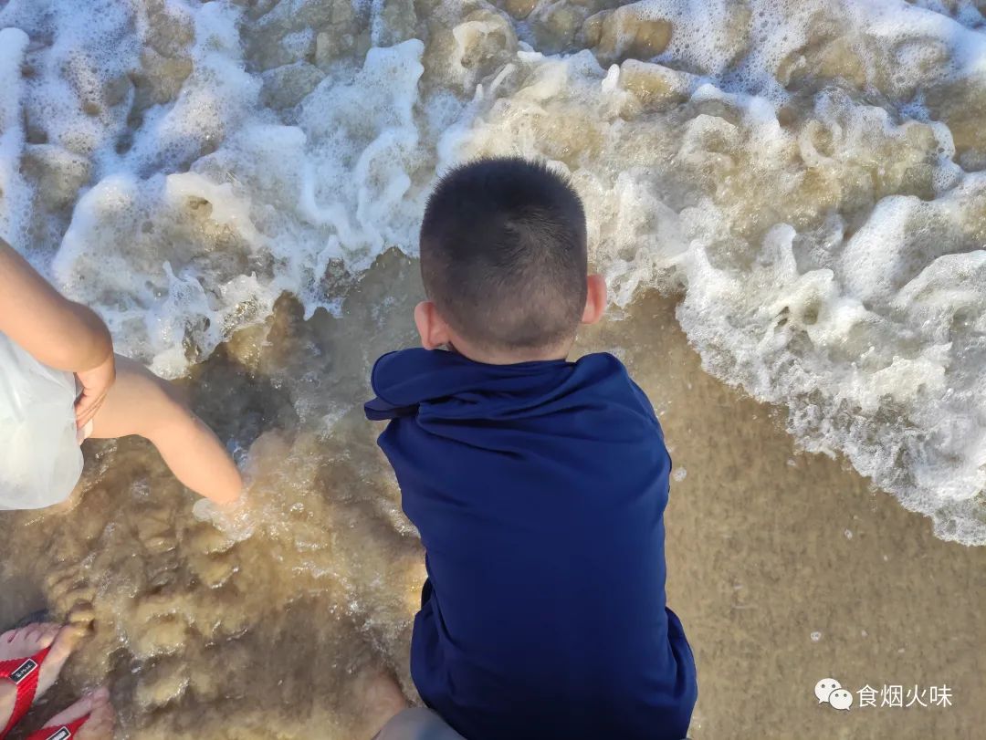 遇到它别手软，一生津止咳，二保护视力，三缓解便秘，不懂吃可惜