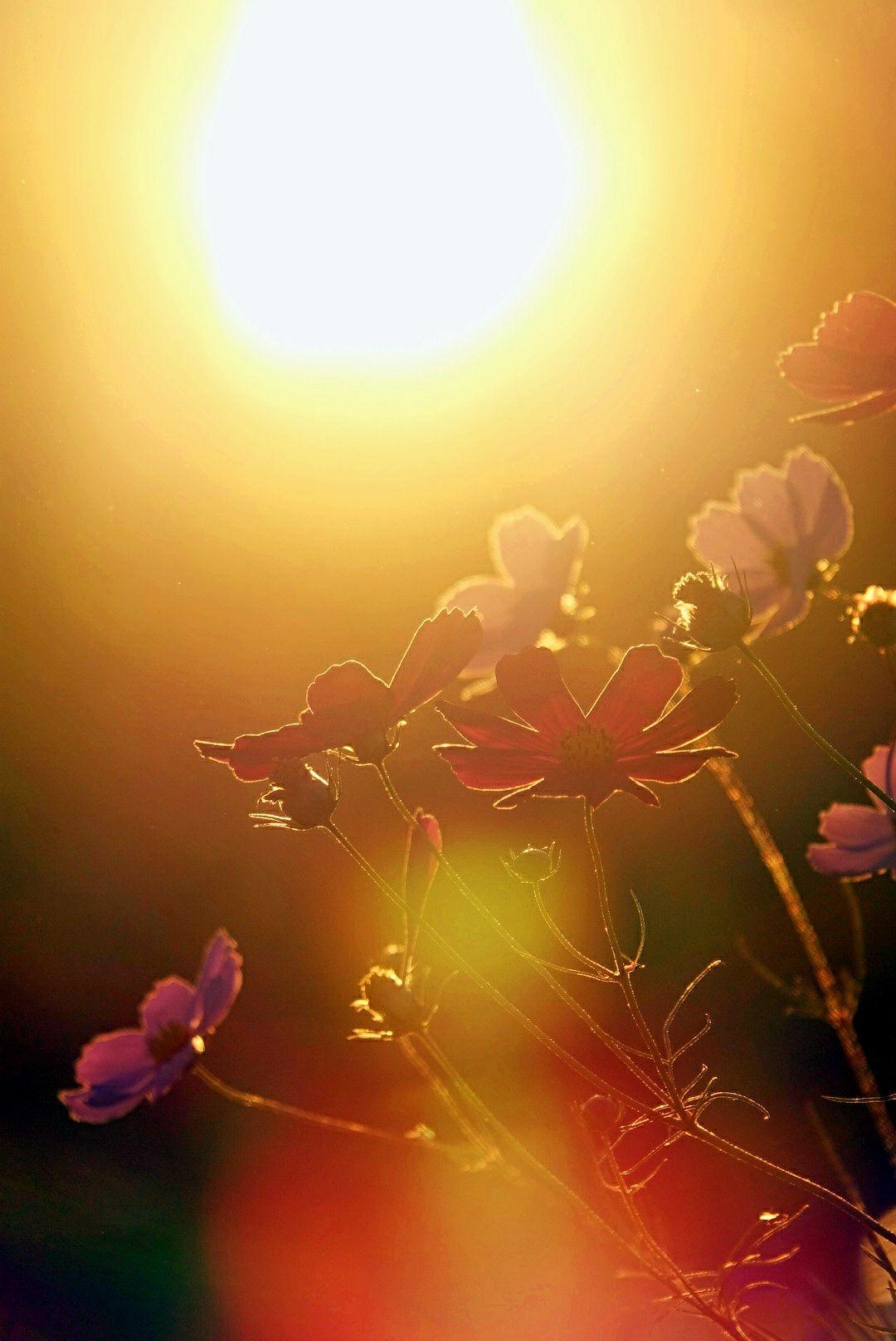 鐙嚜娓呮涓嶅康杩囧線,绻佸崕钀藉敖鍙効鏃跺厜闈欏ソ