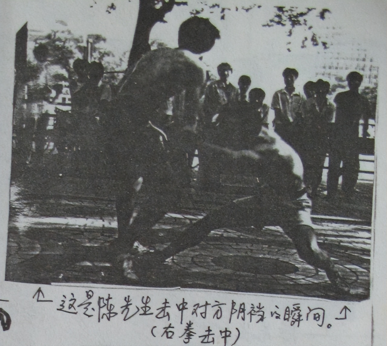 疯狗拳掌门陈鹤皋,陈鹤皋疯狗拳入门心法