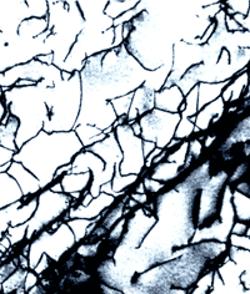 如果进入一粒食盐的内部，你会看到……