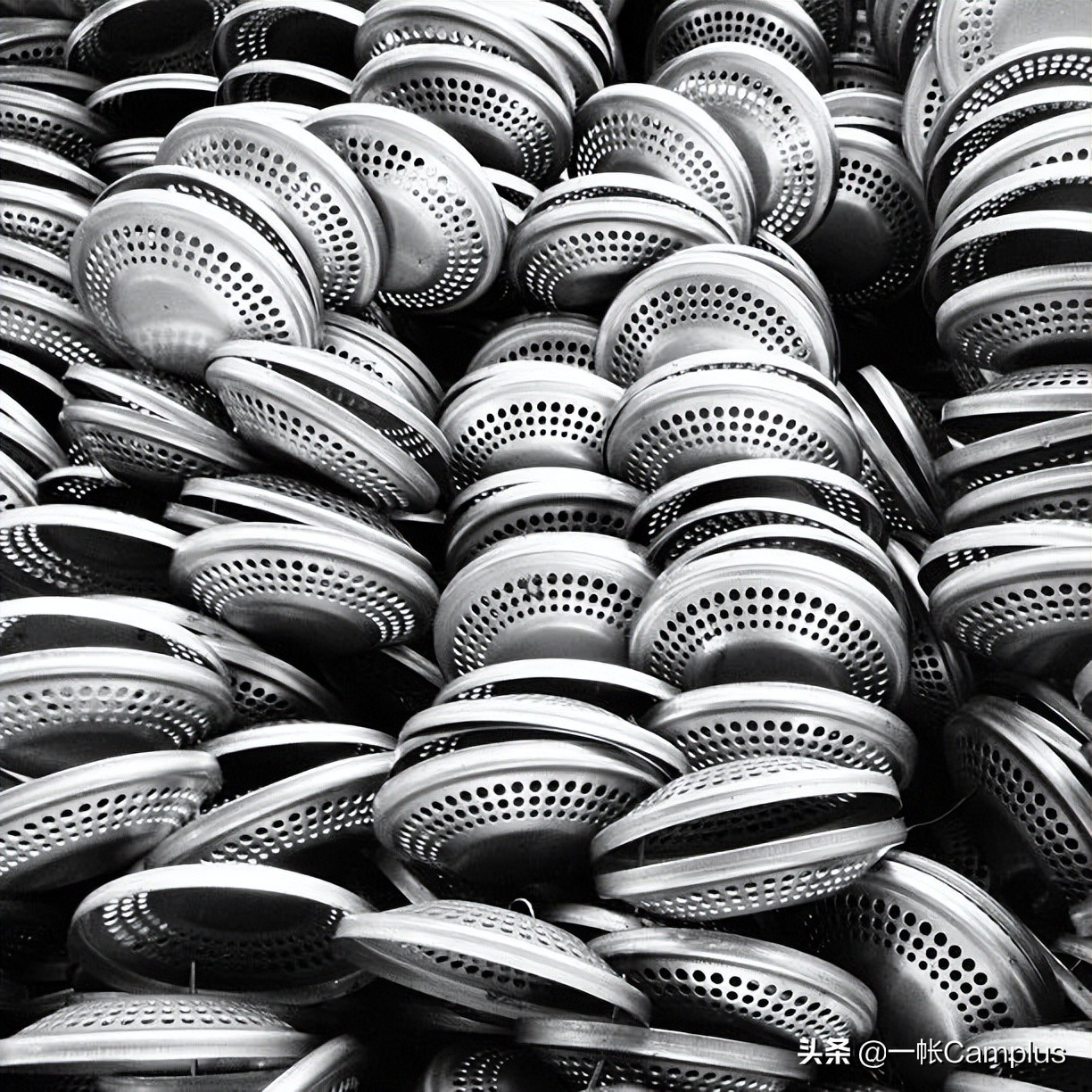 火枫现状,火枫近况