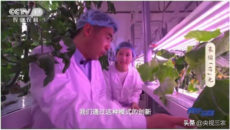 我爱发明|了不起的创造力,正是乡村振兴的“新势力”