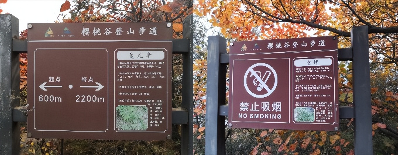 药王谷风景区赏花,快趁着秋天来打卡慕田峪看红叶呀