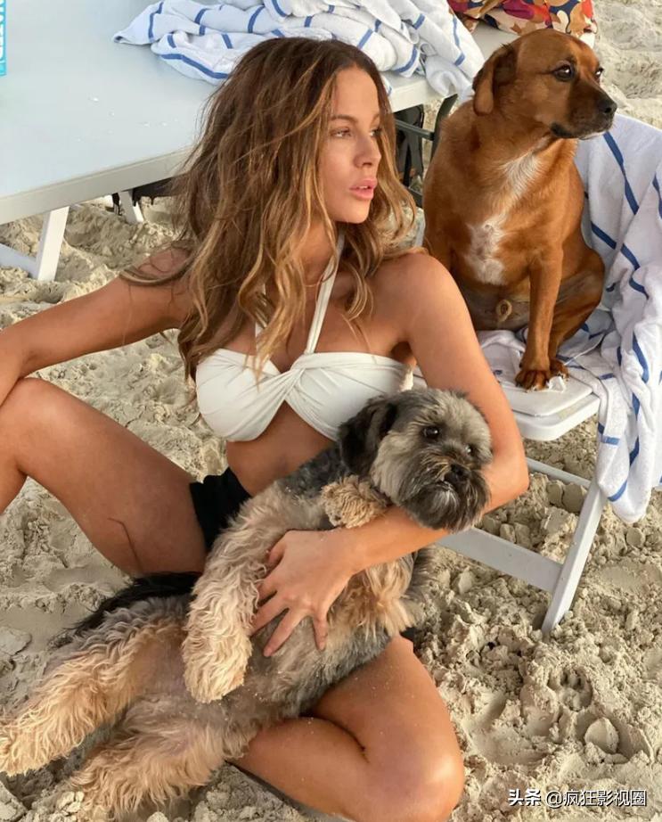 好莱坞十大最美丽的女明星,好莱坞最美10大女演员