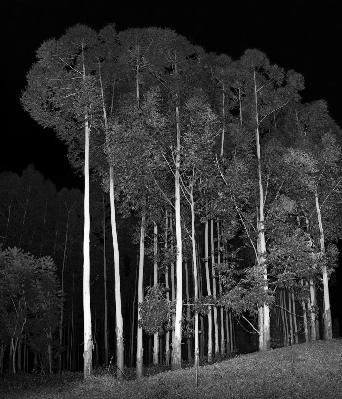 风景后AfterLandscape正在展出