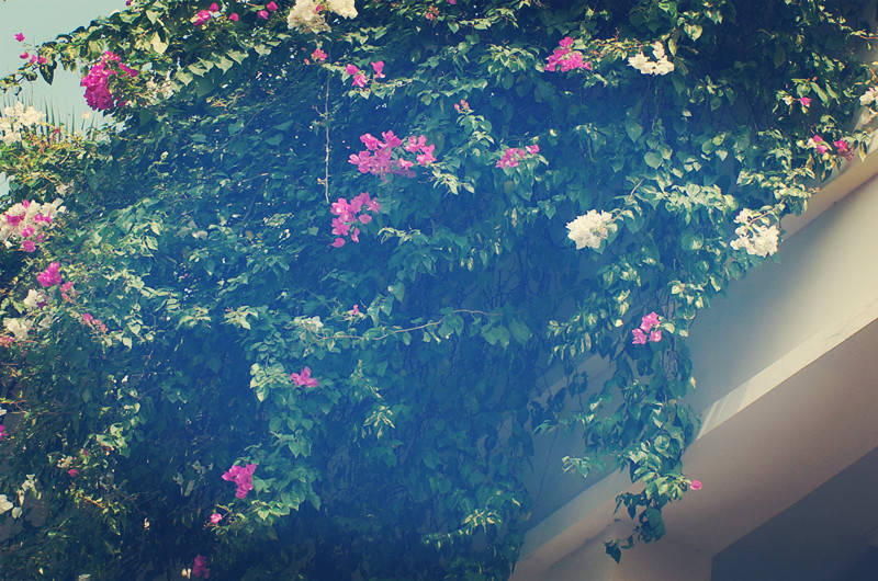 2024届高中必背英语词汇3500词,2022高考英语词组高频词汇