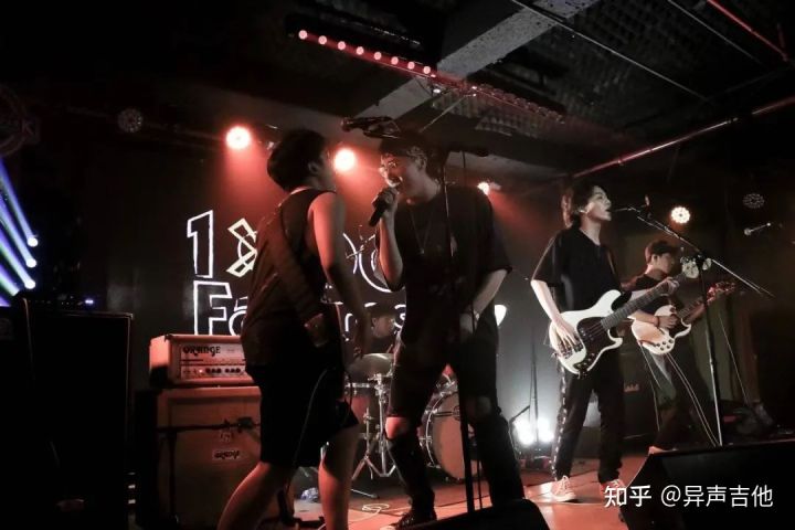 斑鸠的五种常见叫声,疫情下我学会了什么技能