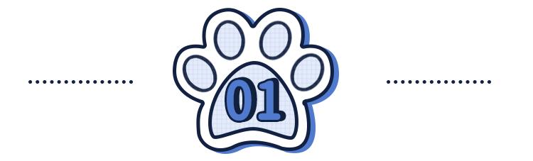 夏天天气很热猫和狗怎么养,为什么猫狗夏天不热