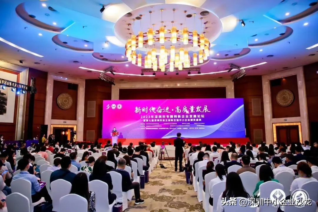 深圳专精特企业排名,深圳专精特新小巨人企业