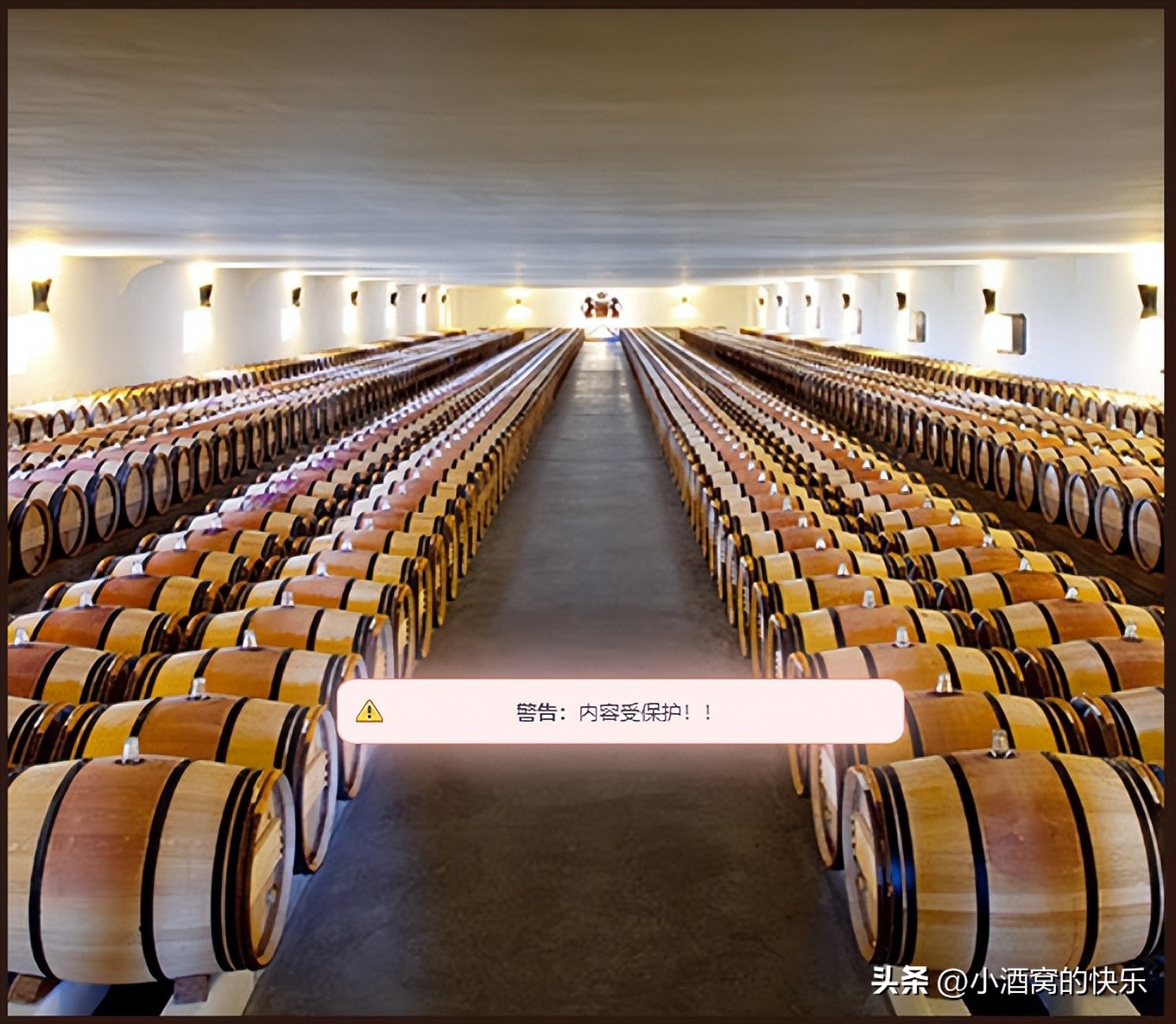 波尔多木桐酒庄红酒,柏桐酒庄波尔多红酒