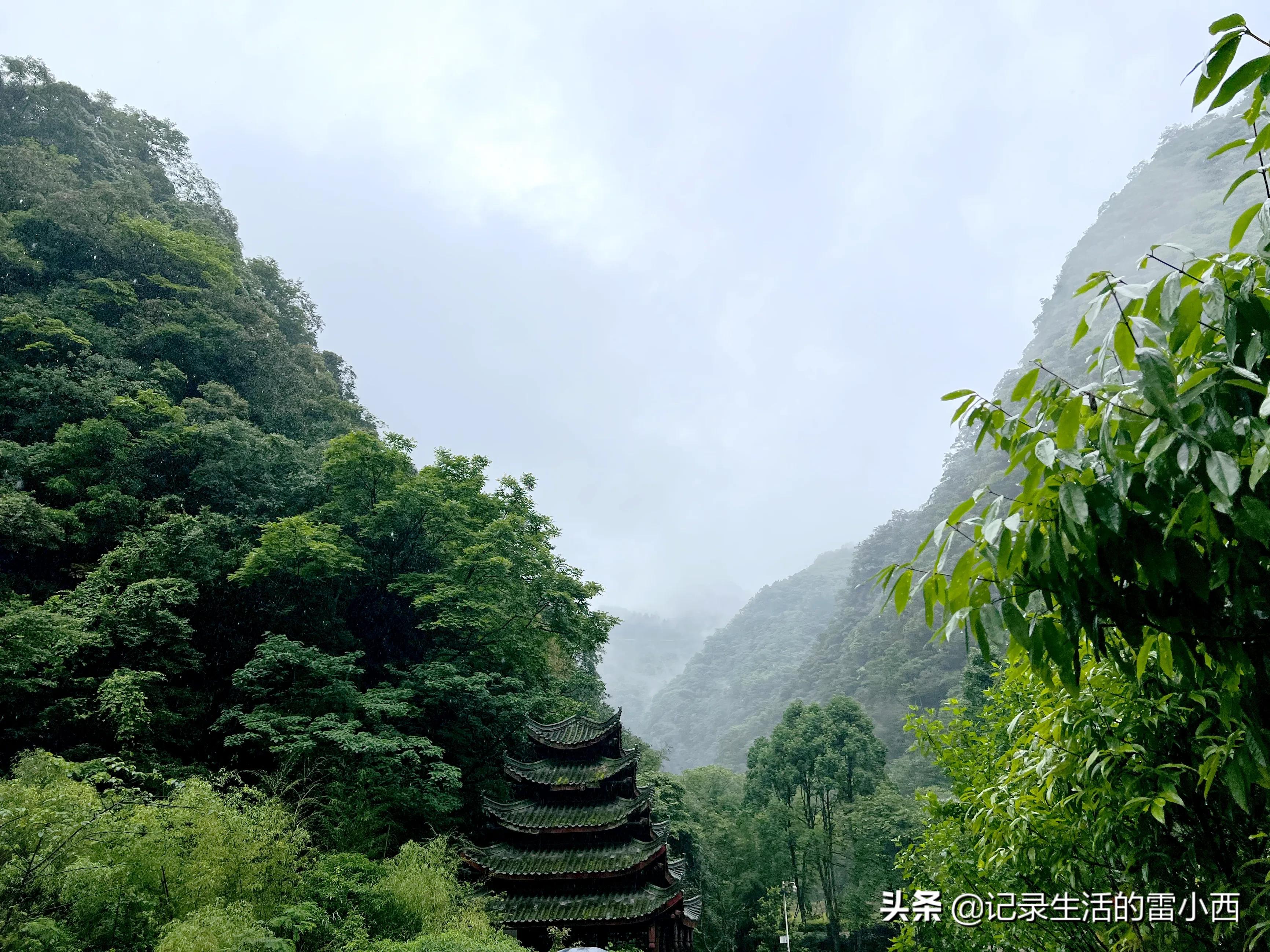重庆到黑山谷景区怎么坐车,重庆黑山谷自驾游一天