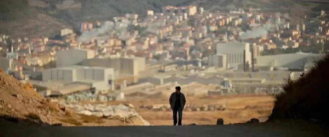 野梨树完整版免费观看,关于野梨树的电影