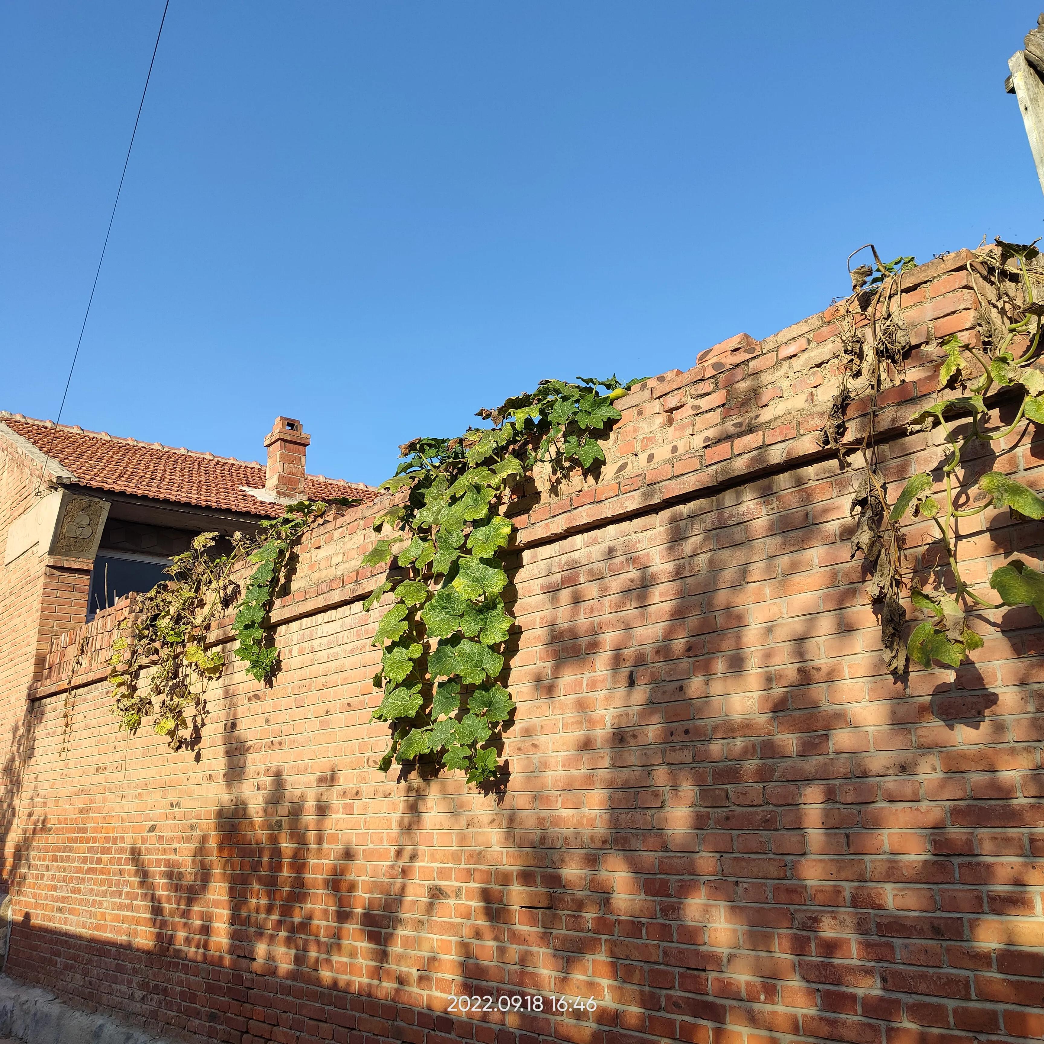 寮犲鍙ｅ競瀹ｅ寲鍘挎潕澶т汉搴勬潃浜烘,瀹ｅ寲鏉庡ぇ浜哄簞鍦板悕鏉ュ巻