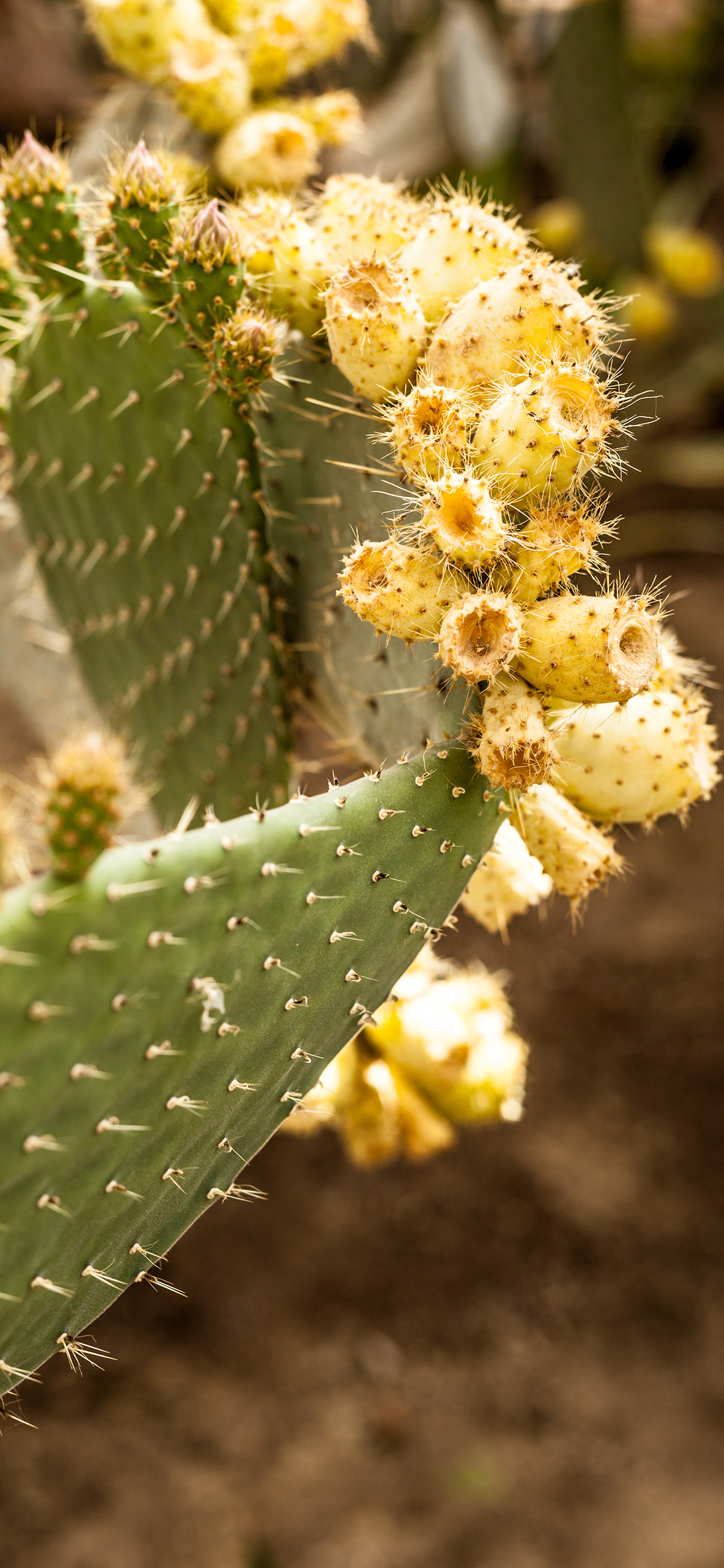 2023年手机壁纸,2023年最新款超清手机壁纸