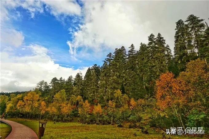 4月香格里拉一日游旅游攻略,大理丽江香格里拉旅游攻略