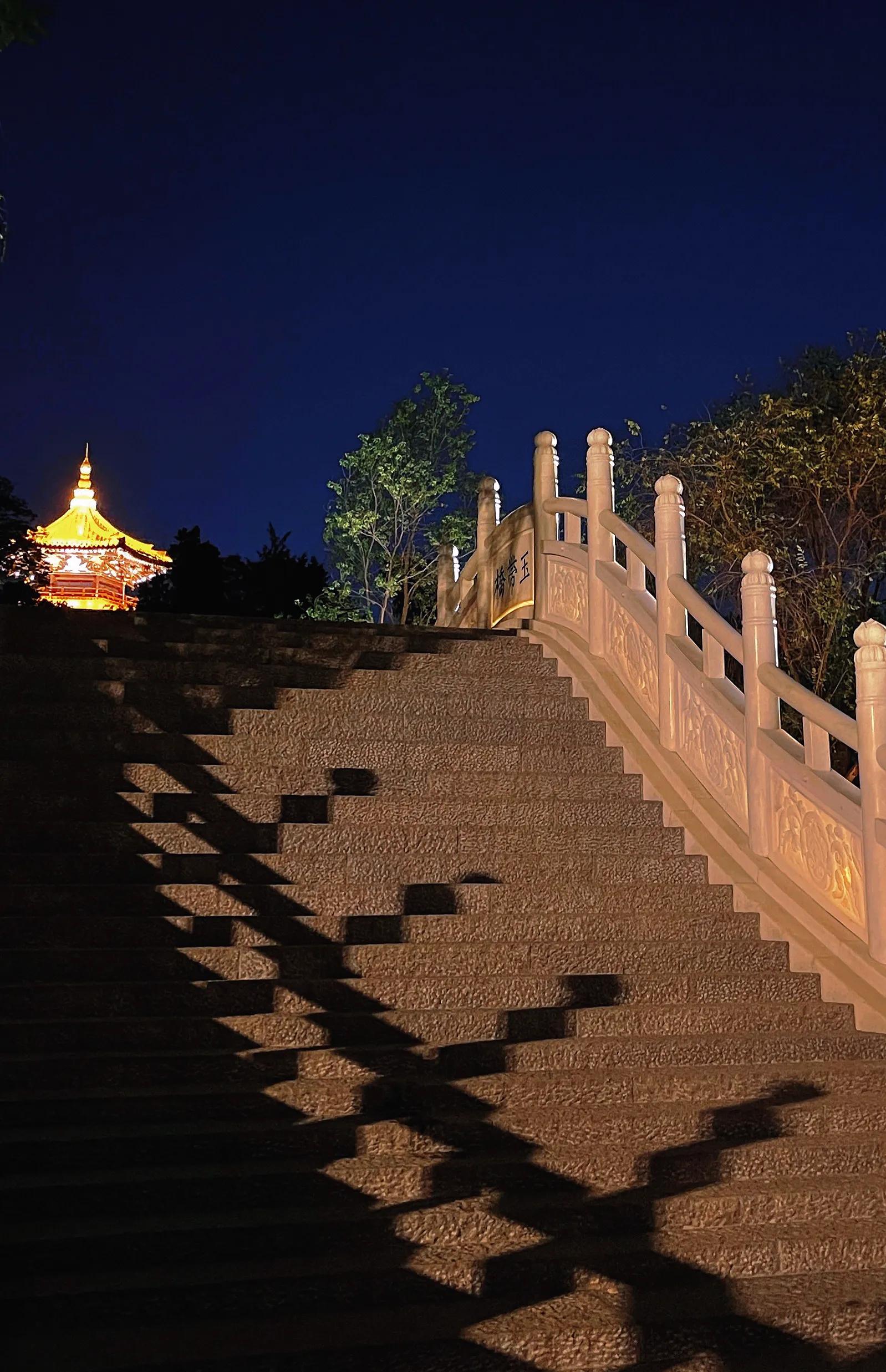 兴庆公园长乐之声合唱团直播现场,兴庆公园大合唱