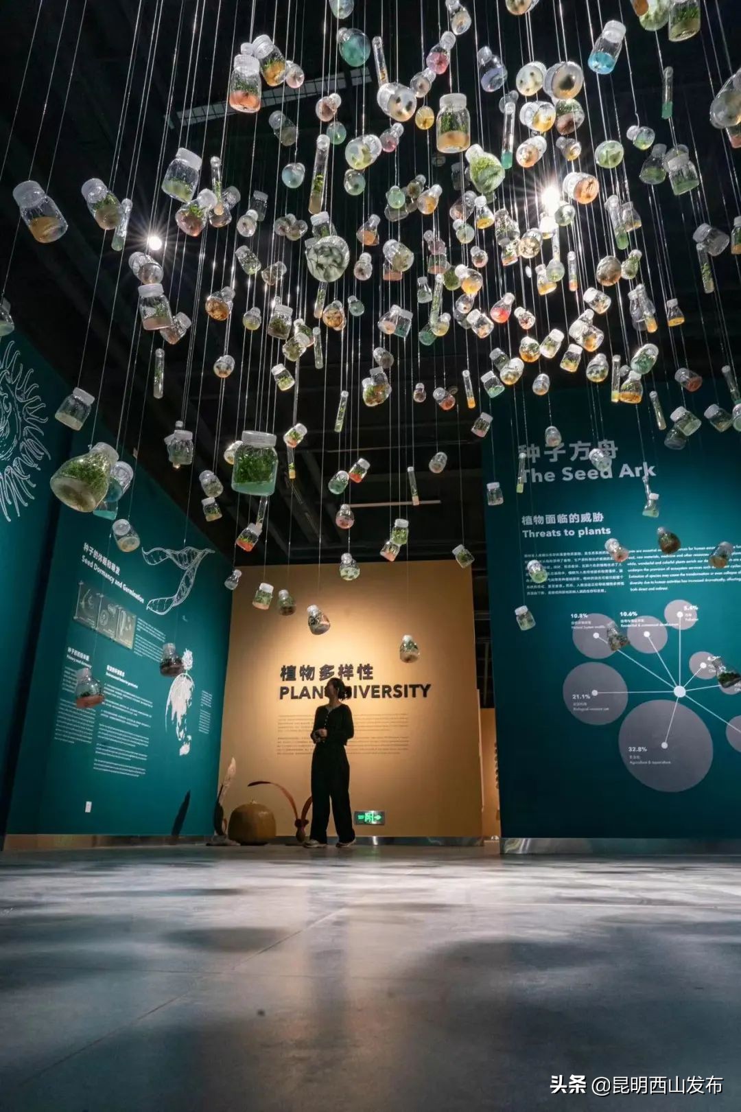 昆明周末打卡最多的网红地方,昆明1903公园最佳网红打卡地