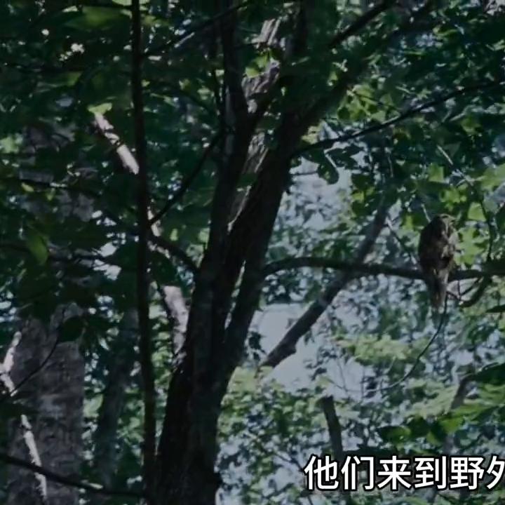 饥饿游戏3完整版在线观看,饥饿游戏一二三部解说