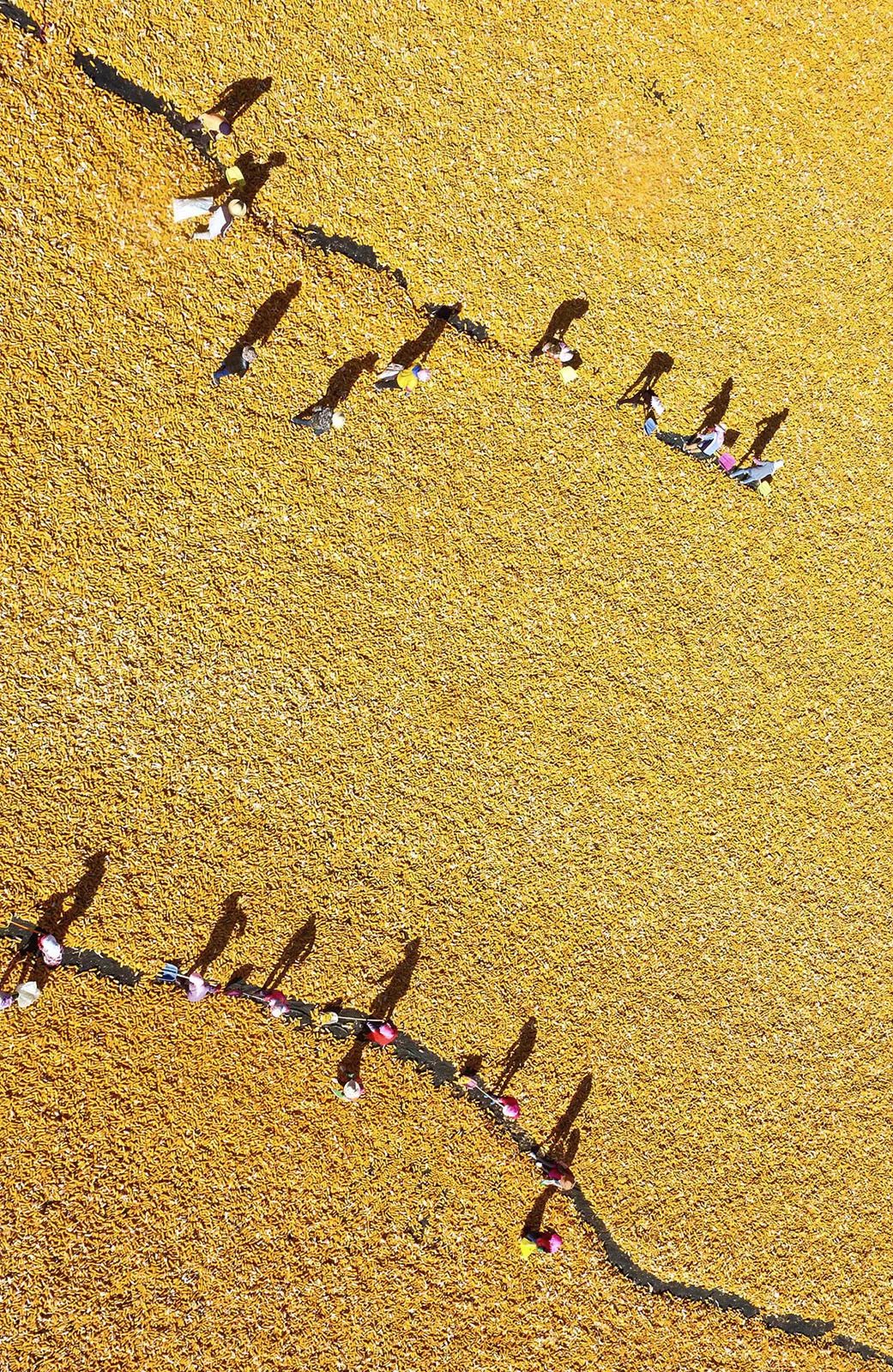 甘肃张掖有多少极致风光,甘肃张掖城市风光