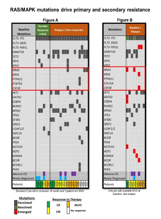 榄忚緣鏁欐巿,榄忚緣鍖荤敓