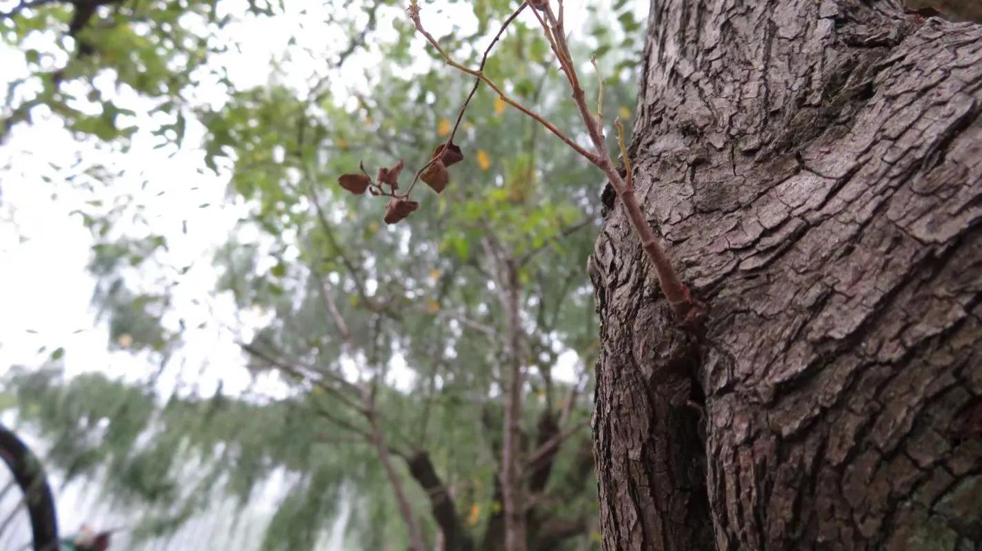横店之行感悟,横店之行穿越