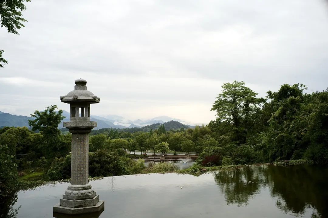 浙江市区度假酒店推荐,浙江轻奢酒店值得推荐