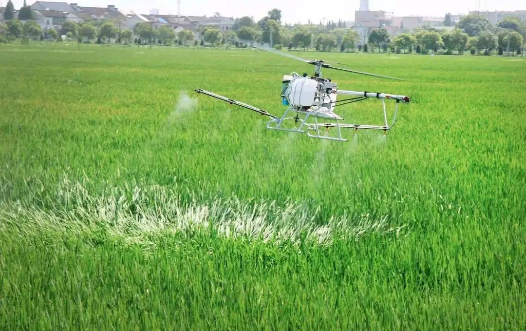 我国生物农药发展趋势,生物未来科研的方向