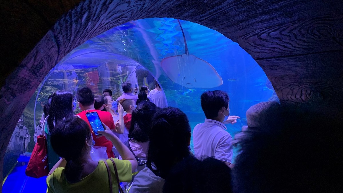 深圳观澜亲子游十大排行榜,深圳周边儿童好玩的海洋世界推荐