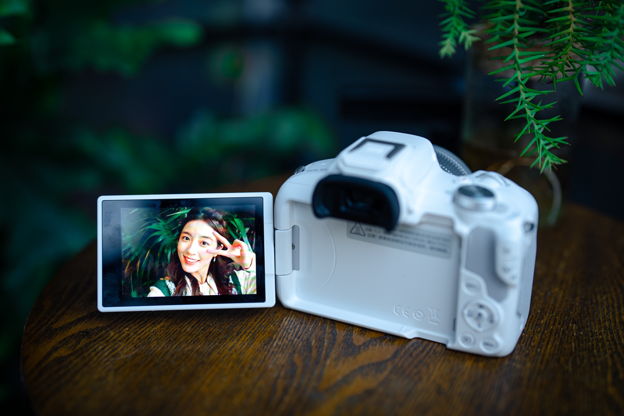 佳能eosr50详细介绍,佳能EosR50优缺点