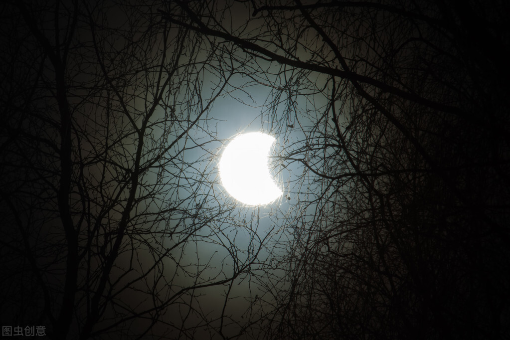 楦甸笩涓庡叾浠栧姩鐗╃殑鎴樻枟,楦甸笩涓庝汉鎼忔枟