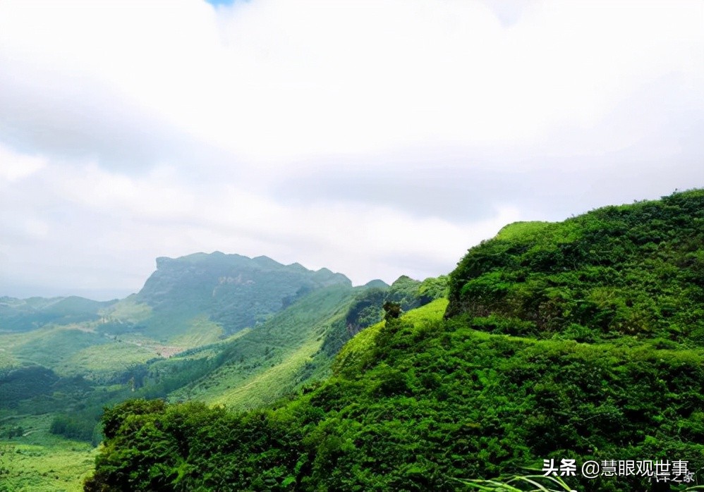 侯海洋基层风云全文免费阅读,侯海洋基层风云完整版免费听