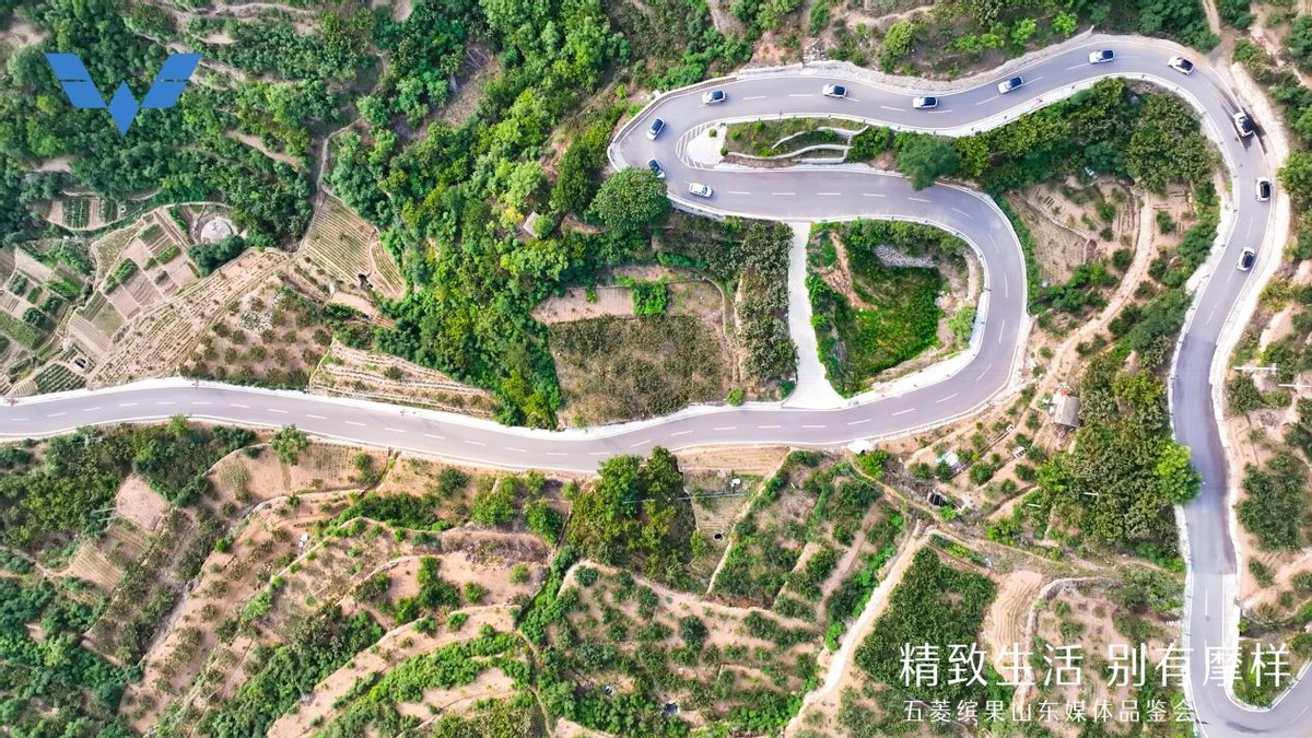 五菱缤果新款缺点,五菱缤果代步车