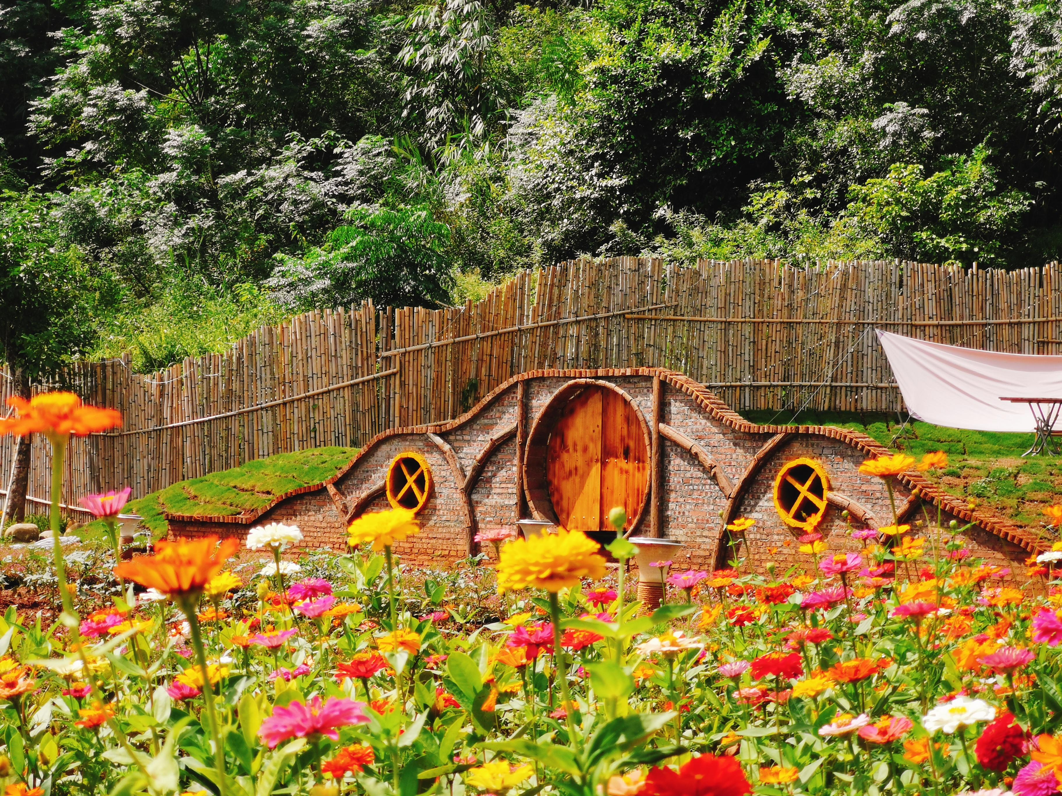 清远英德峰林晓镇精品露营地,清远英德湖畔野奢露营