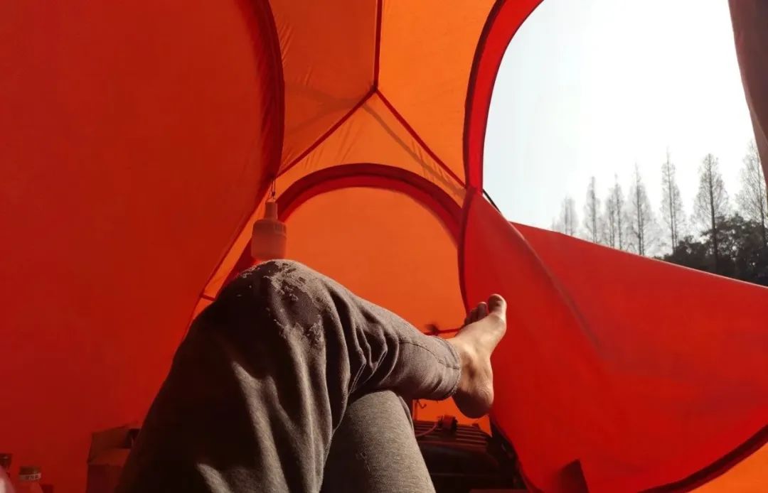 五年没上班了不知道能干嘛,5年不工作也有钱花