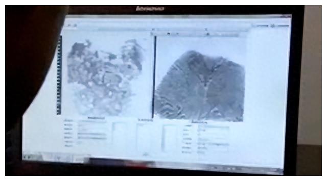 上海江边惊现无名女尸案,江边现无名女尸