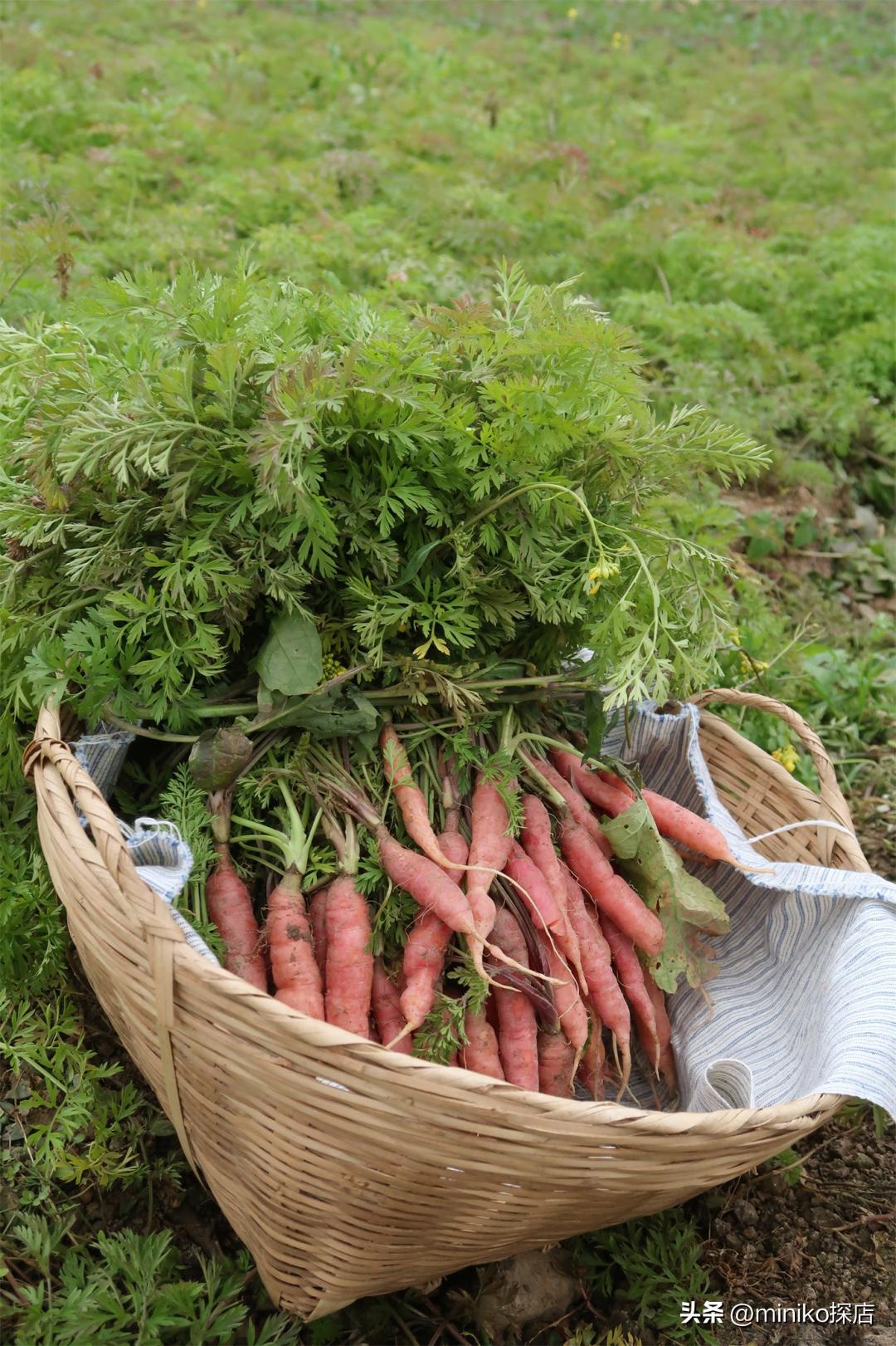 所有女孩子做过的梦，她们都帮你实现了！