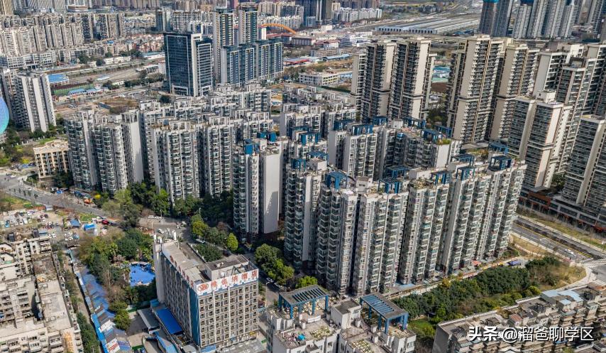 石室教育集团,成都石室中学教育集团学校