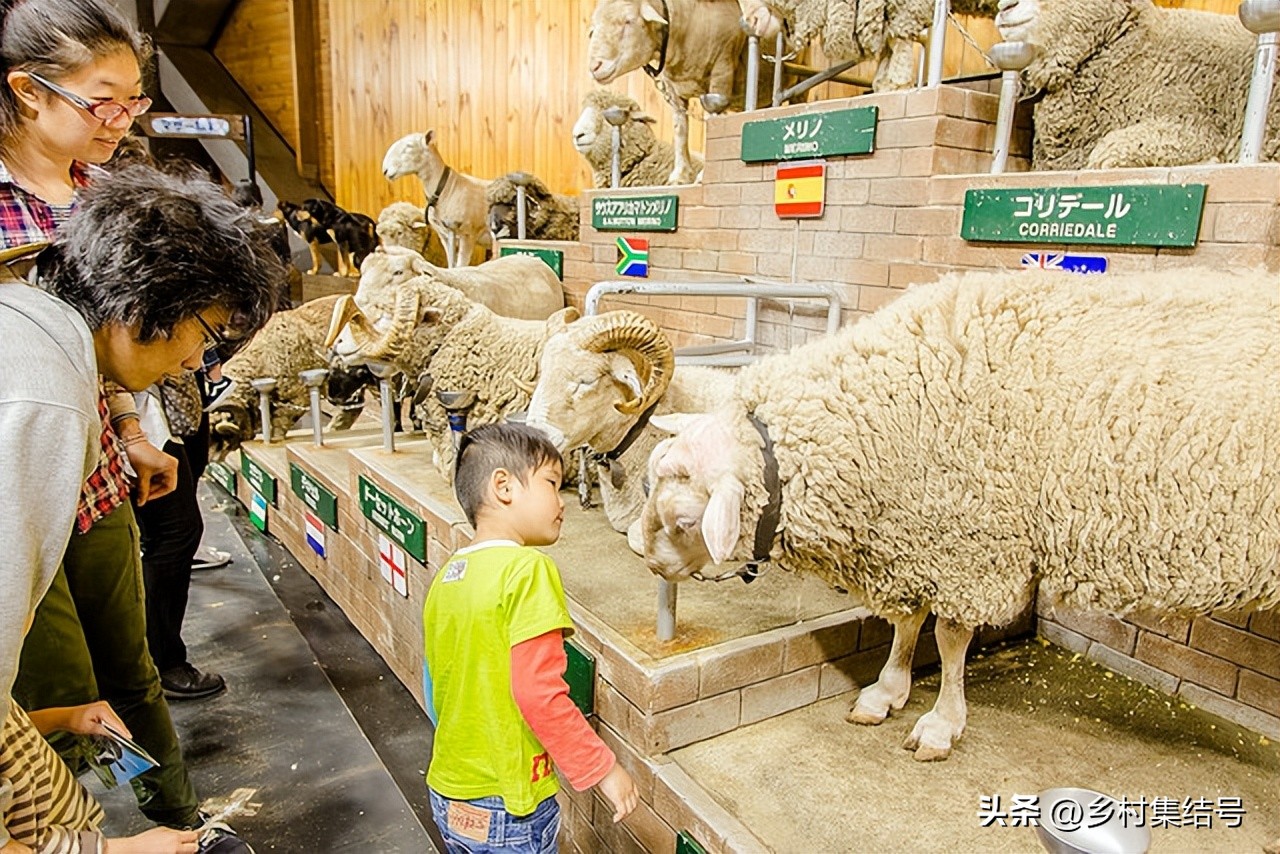 日本亲子农场主题乐园,日本妈妈牧场成功的原因