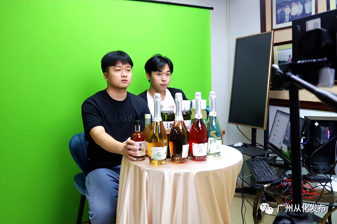 又到青梅入酒时,又到了酿青梅酒的时候