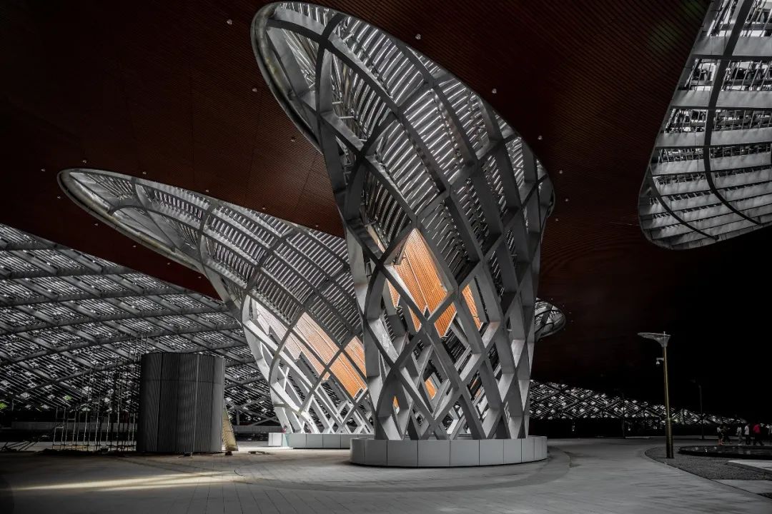 沉浸式体验杭州亚运会,沉浸式体验杭州亚运会开幕式