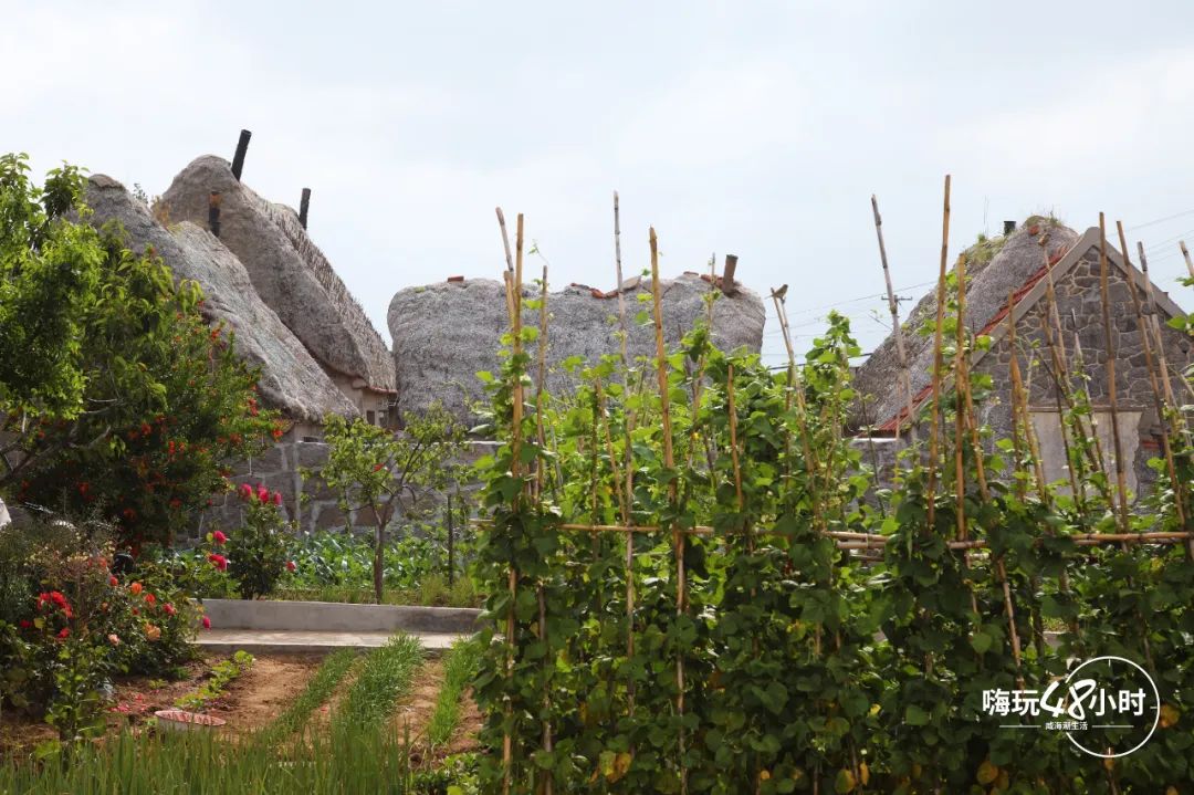 山东荣成云栖民宿,荣成海云栖民宿