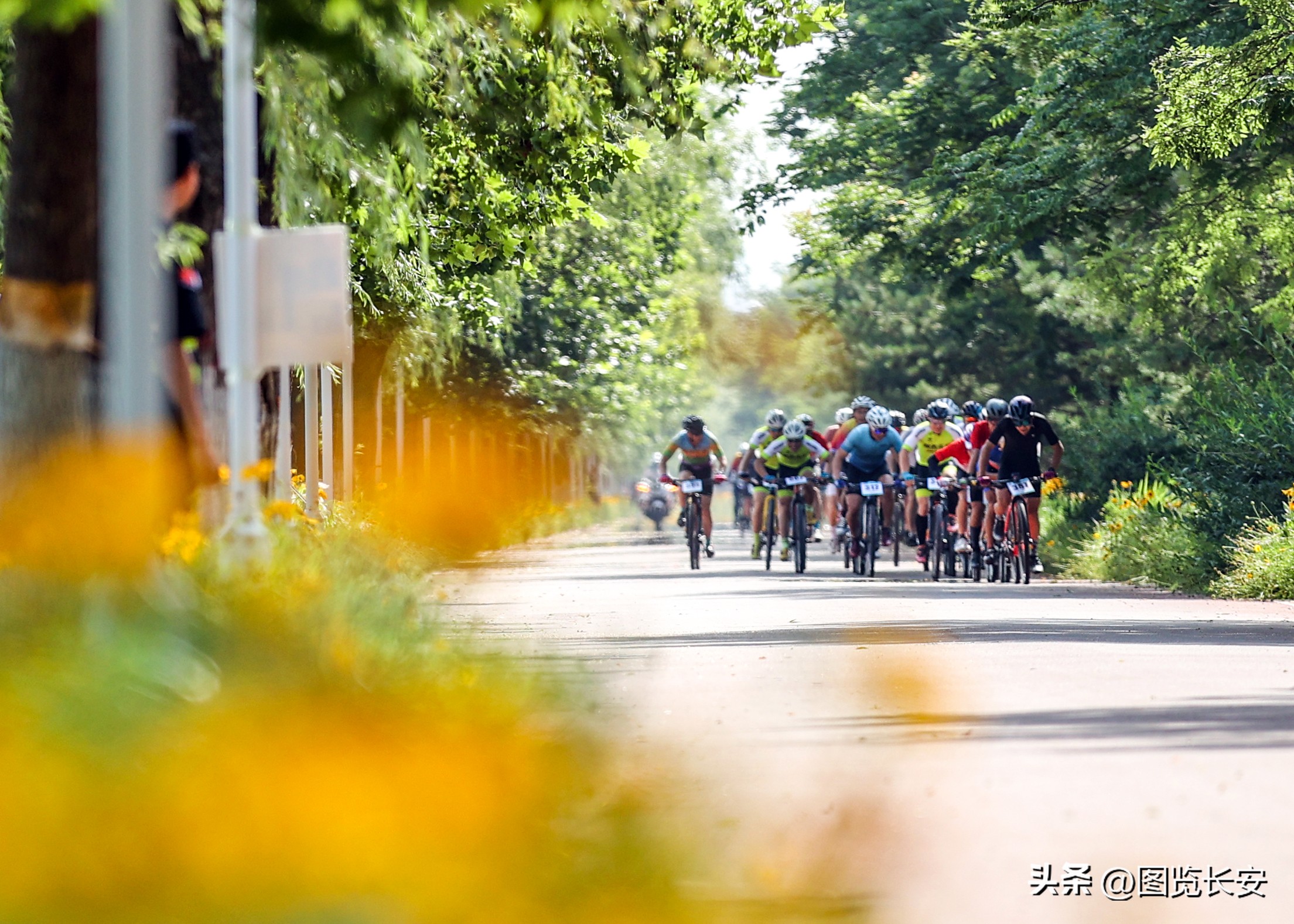 绿色骑行赛,绿色骑行共迎亚运