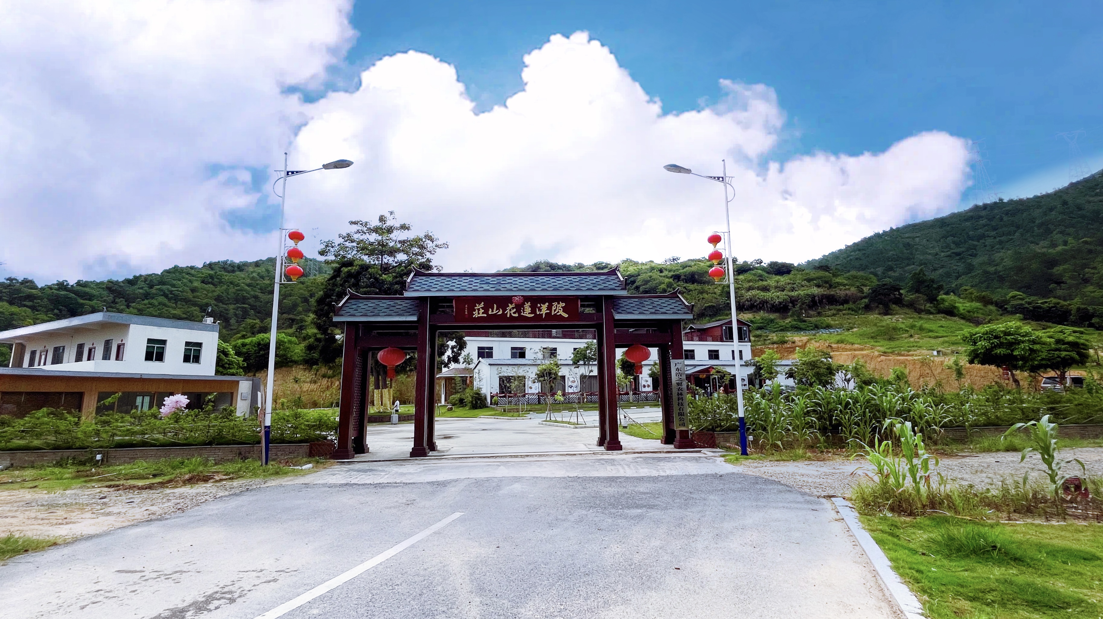 农科学子三下乡第一站新华村,新华学院三下乡活动