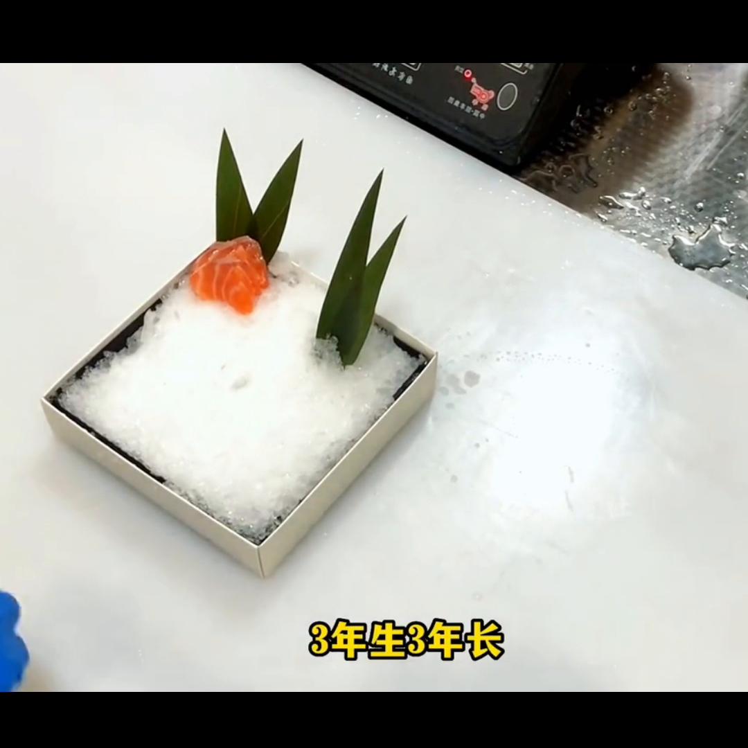 日料揭秘博主账号,日料揭秘博主