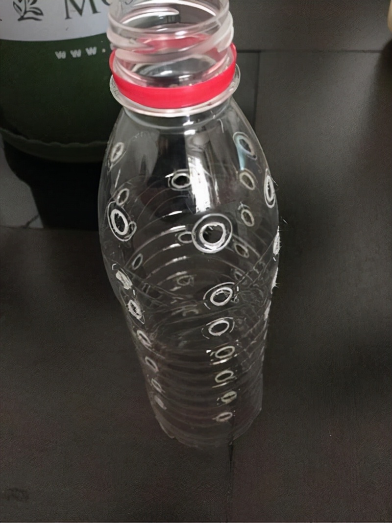 盆栽绿萝如何做绿萝柱,自制绿萝柱生长过程