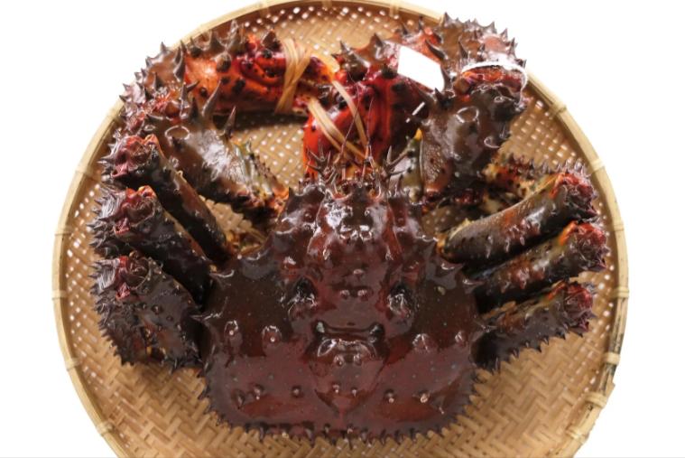 去日本必吃的五种海鲜,到日本必吃的饕餮美食