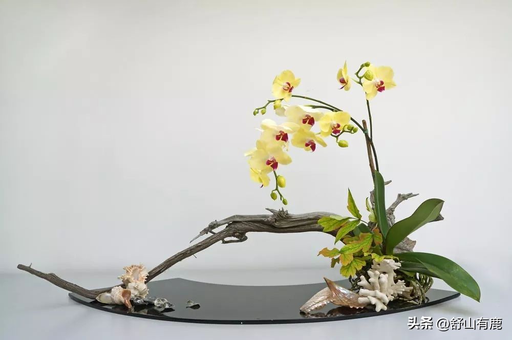 “人有三相，必有天渡”：这三类有缘人，有天命，被上天偏爱