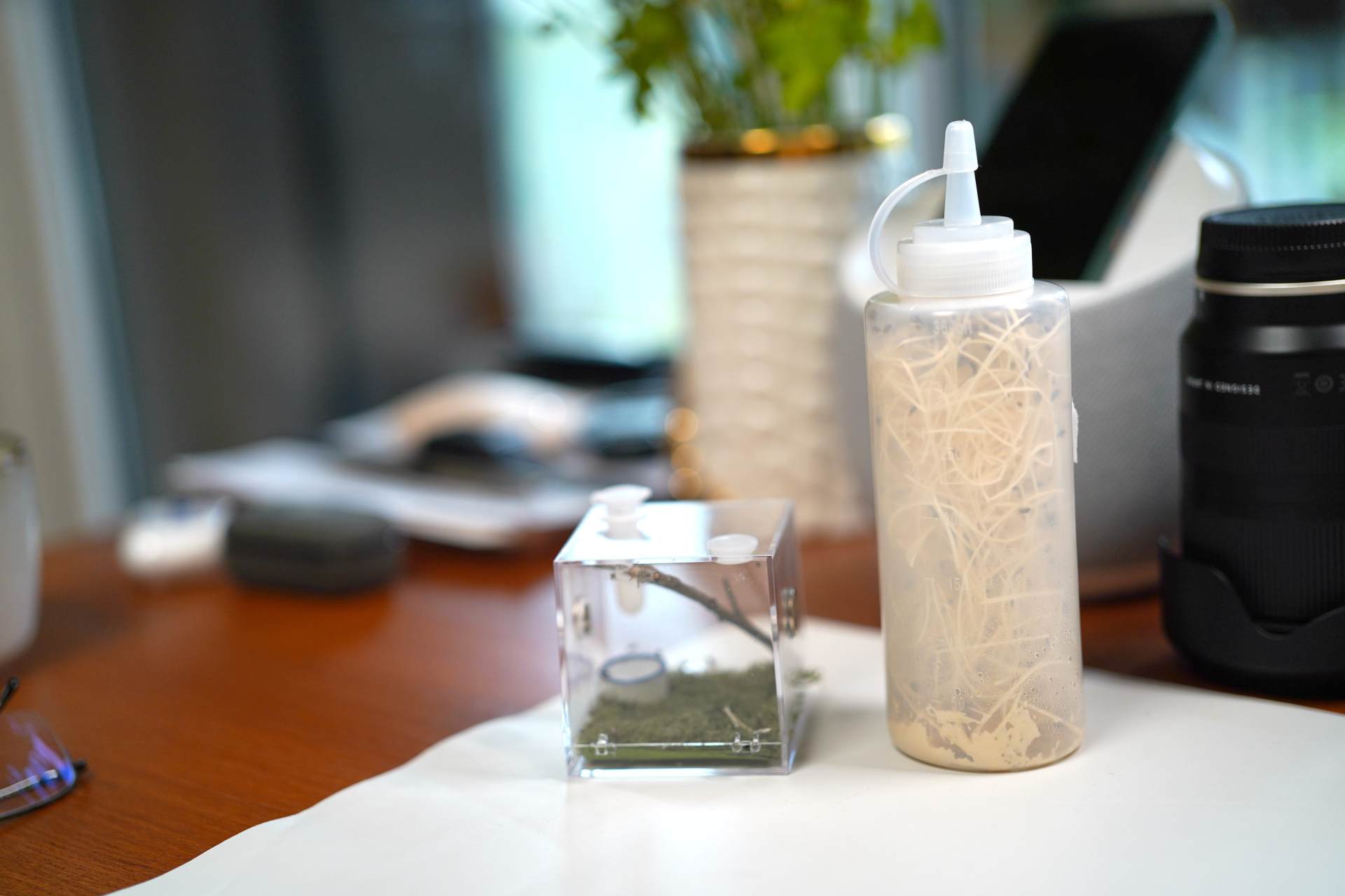 七夕乞巧佳节,我给我的男神也准备了礼物